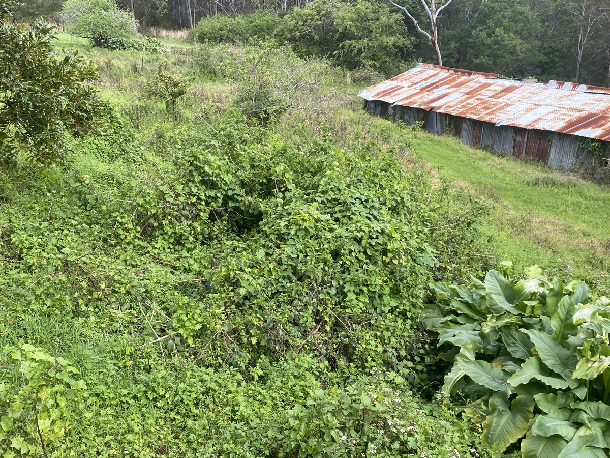 Acreage clean-up before