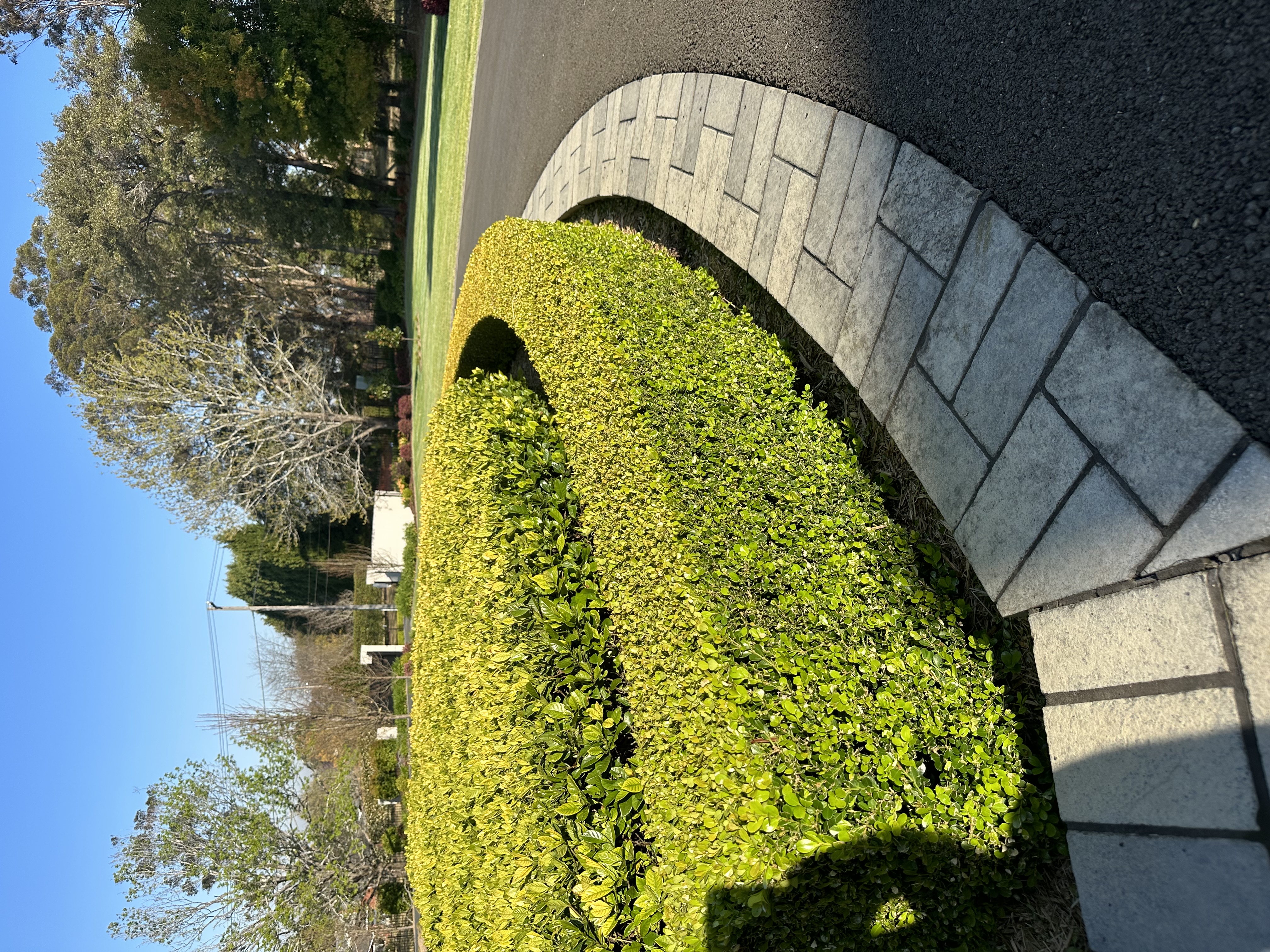 Acreage lawn care by Elite Landscaping