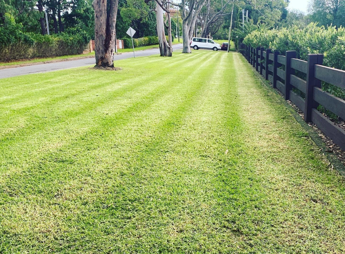 Garden beds and hedging Hills District