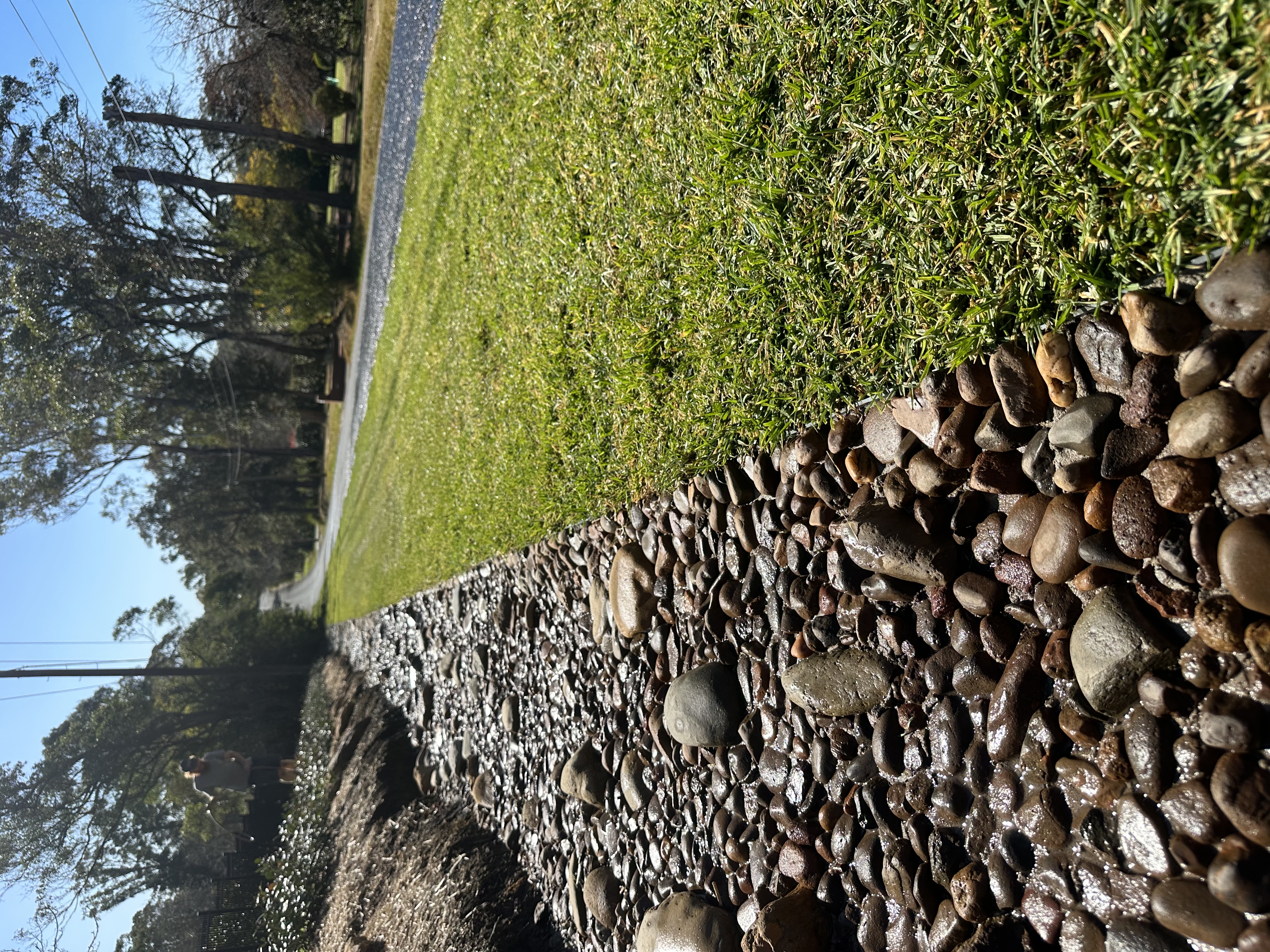 Premium landscape construction project