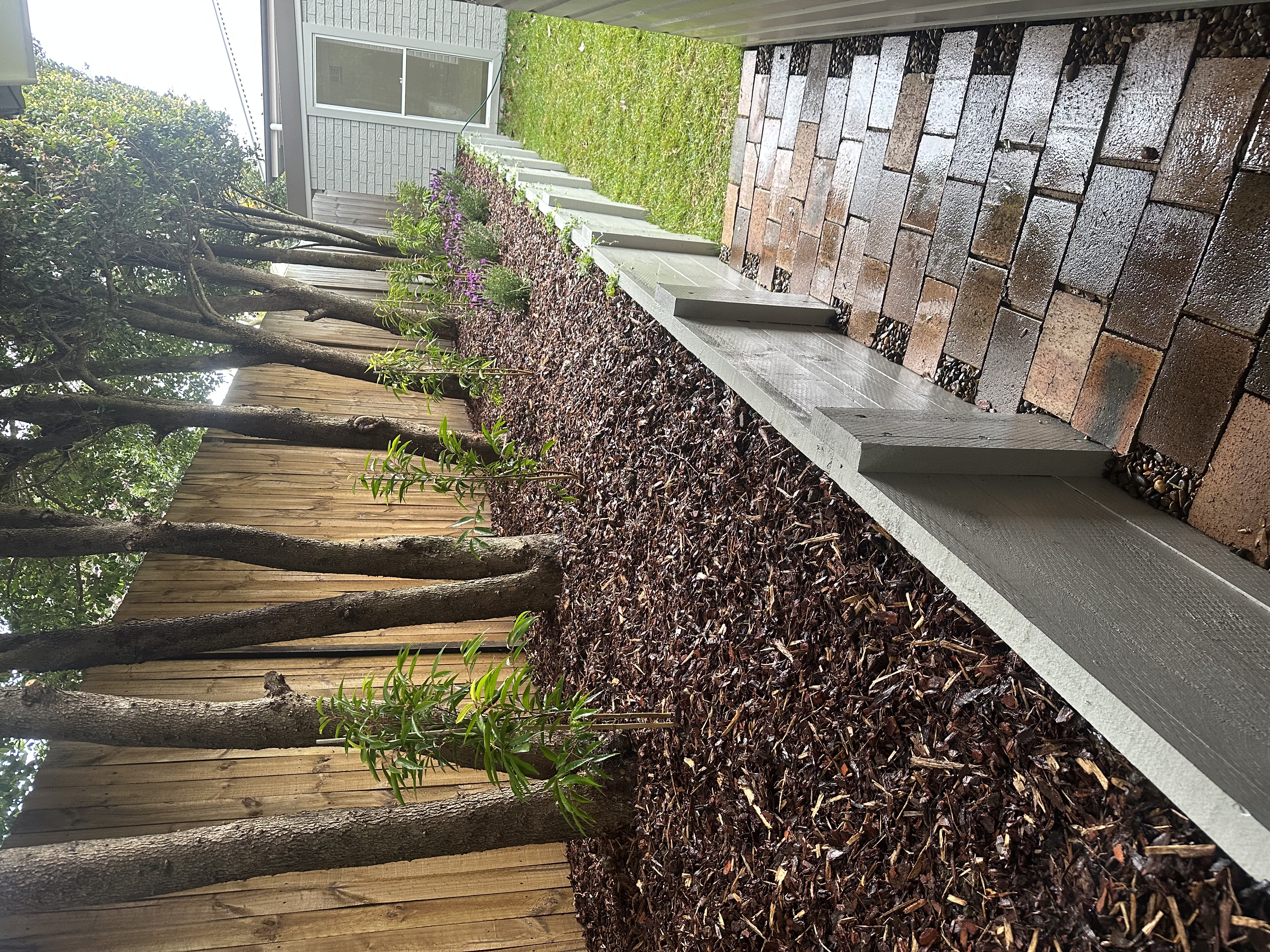 Landscape build after - Elite Landscaping