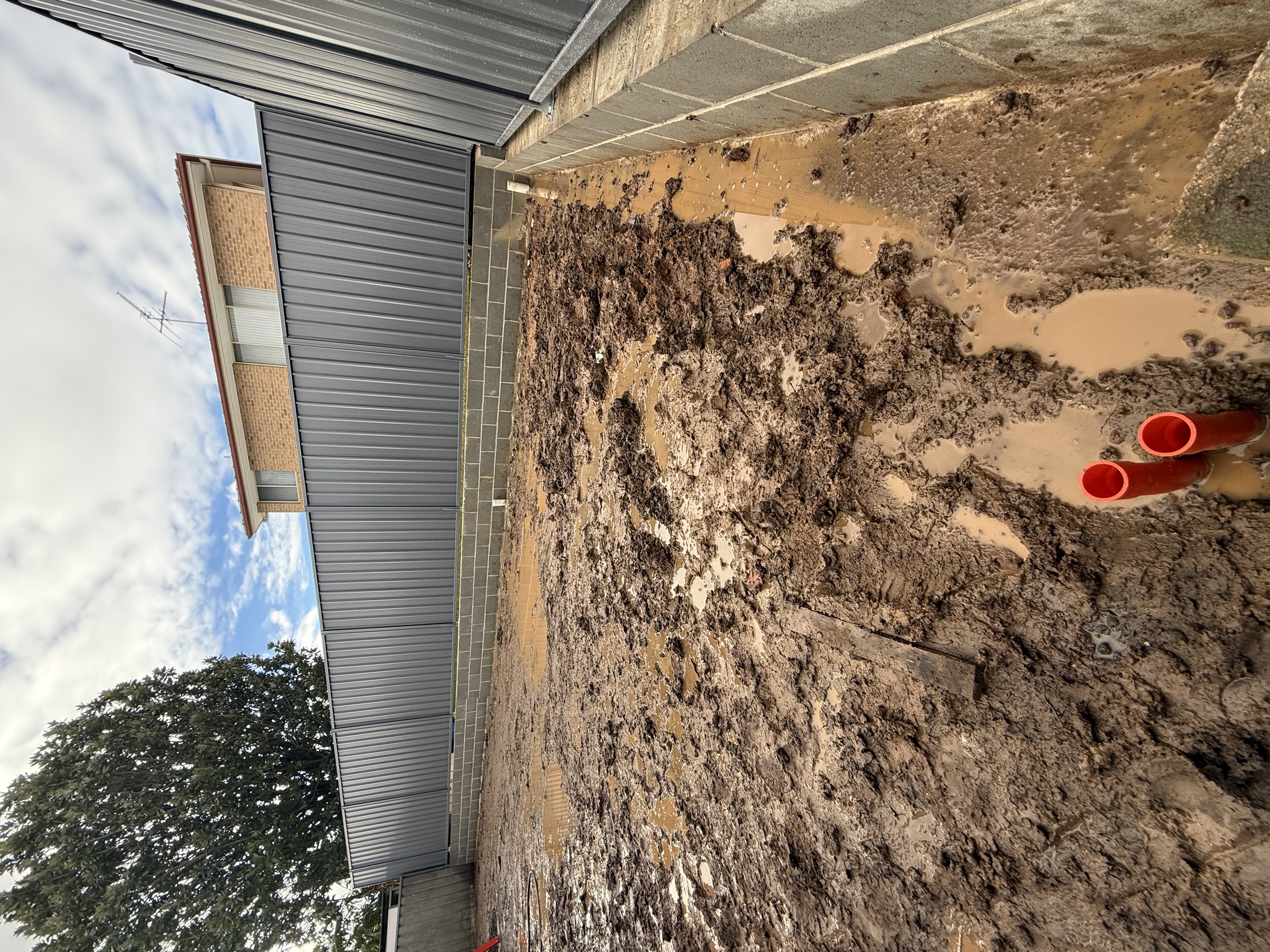 Pool surround construction - Elite Landscaping